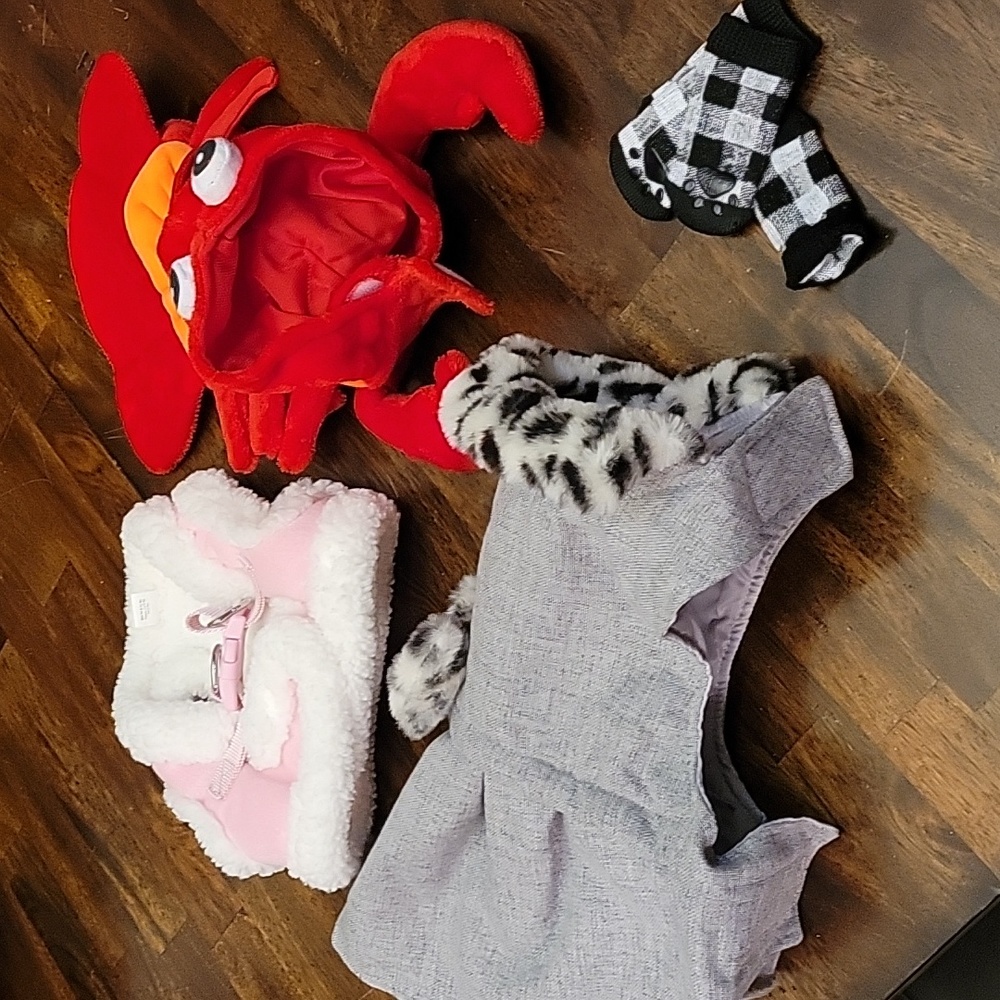 NWOT or worn once Small Dog accessories.